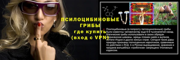 кристаллы Гусь-Хрустальный