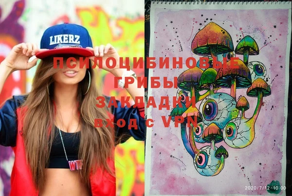 MDMA Premium VHQ Гусиноозёрск