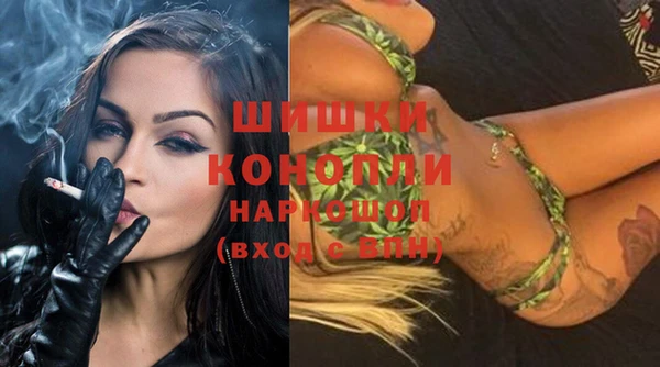 кристаллы Гусь-Хрустальный