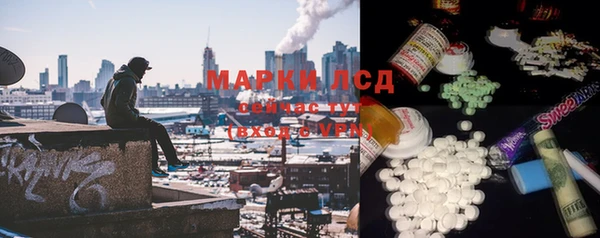 трава Гусев