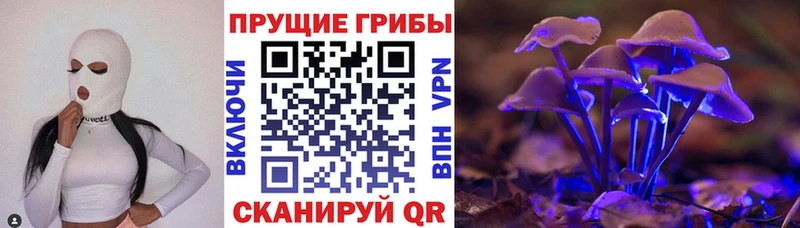 Купить где  Анжеро-Судженск  Псилоцибиновые грибы MAGIC MUSHROOMS 